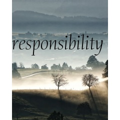 responsibility