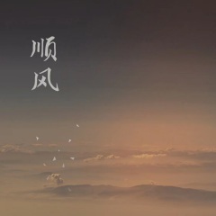 ˳