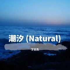 丁文杰 潮汐(natural)