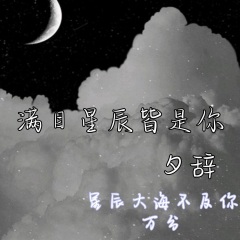 滿目星辰皆是你歌手:夕辭發行時間:2021-06-06簡介:我攜滿天星辰以贈