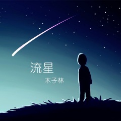 全部播放专辑名:流星歌手:木子林发行时间:2021-06-20简介:总会有些