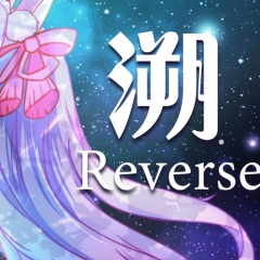 溯reverse