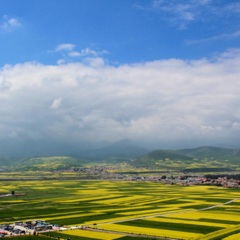 青海花兒 - 大傳直令