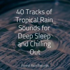 40tracksoftropicalrainsoundsfordeepsleepandchillingout