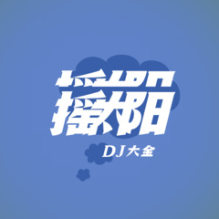 搖太陽dj版