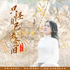 雨中百合 - 只怪自己太念舊