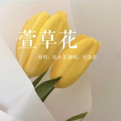  萱草花> - 歌曲列表全部播放播放全選01安洛萱 - 萱草花 (cover