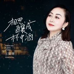 女歌手王爱华简历图片