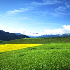 青海花儿 - 乖嘴令
