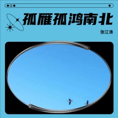 全部播放專輯名:孤雁孤鴻南北歌手:張江濤發行時間:2022-08-09簡介