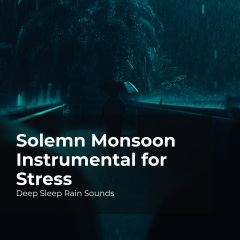 solemnmonsooninstrumentalforstress