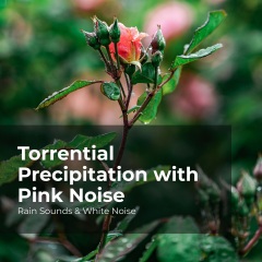 torrentialprecipitationwithpinknoise