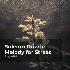 solemndrizzlemelodyforstress