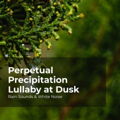 perpetualprecipitationlullabyatdusk