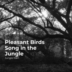 pleasantbirdssonginthejungle