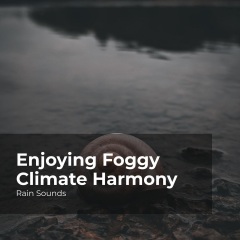 enjoyingfoggyclimateharmony