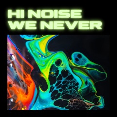 We Never (Original Mix)