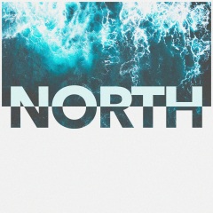 north