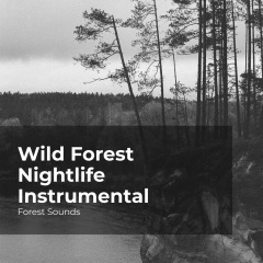 wildforestnightlifeinstrumental