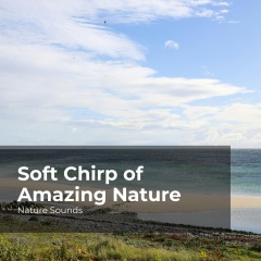 softchirpofamazingnature