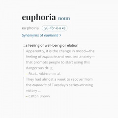 euphoria (Explicit)