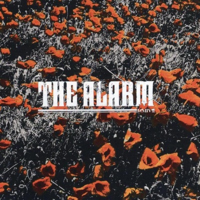 In the Poppy Fields