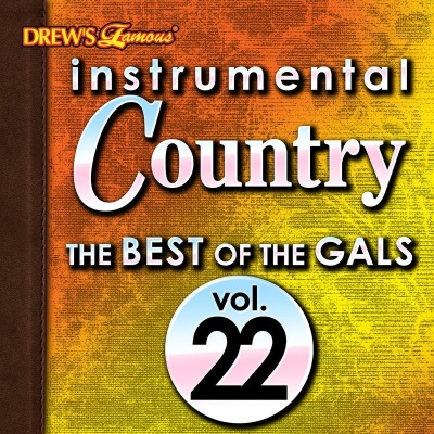 Instrumental Country: The Best of the Gals, Vol. 22