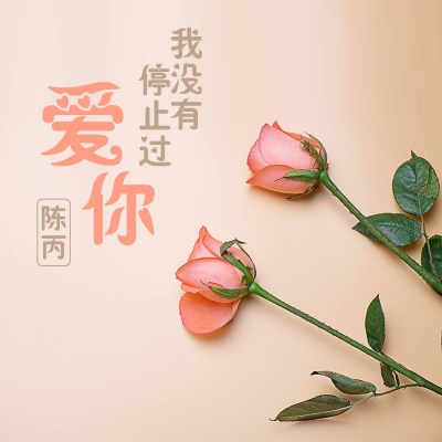 我没有停止过爱你
