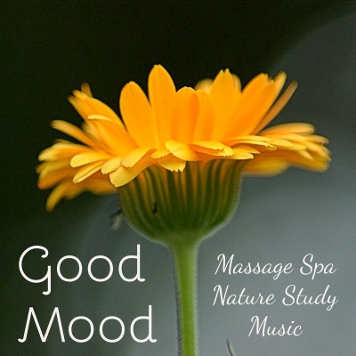 Good Mood - Massage Spa Nature Study Music for Sleep Remedies Brain Stimulation with New Age Instrumental Sounds