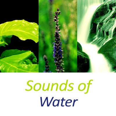 Sounds of Water – Pure Relaxation Water Sounds, Relaxing Music for Spa and Wellness Treatments, Massage, Meditation