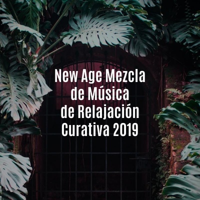 New Age Mezcla de Música de Relajación Curativa 2019