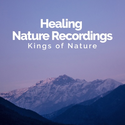 Healing Nature Recordings
