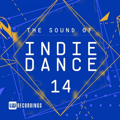 The Sound Of Indie Dance, Vol. 14