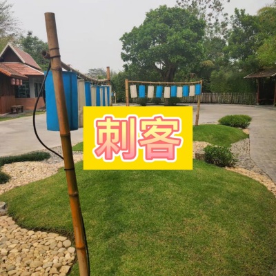 刺客