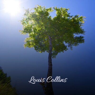 Louis Collins