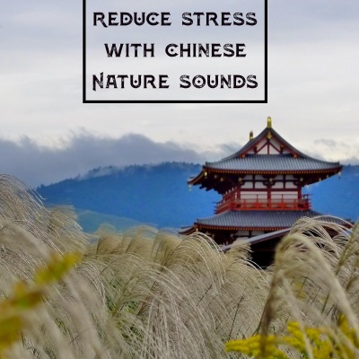 Reduce Stress with Chinese Nature Sounds