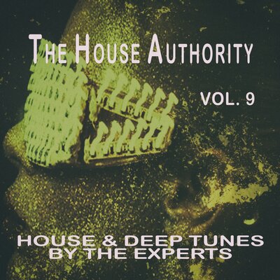 The House Authority, Vol. 9