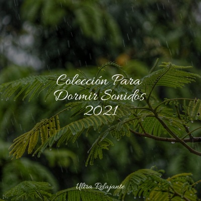 Colección Para Dormir Sonidos 2021