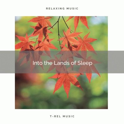 1 Into the Lands of Sleep