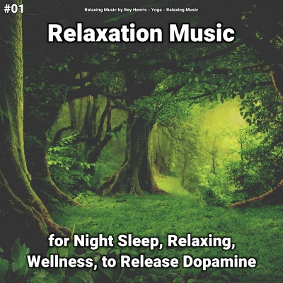 #01 Relaxation Music for Night Sleep, Relaxing, Wellness, to Release Dopamine