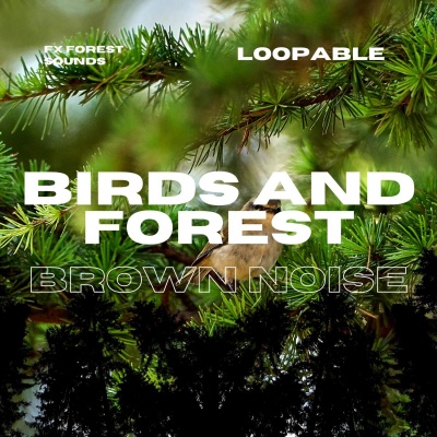 Birds and Forest Sounds for Relaxation with Brown Noise, Loopable