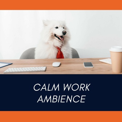 Calm Work Ambience