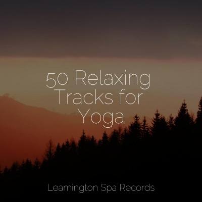 50 Relaxing Tracks for Yoga