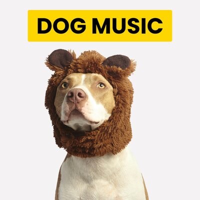 Piano For Dogs