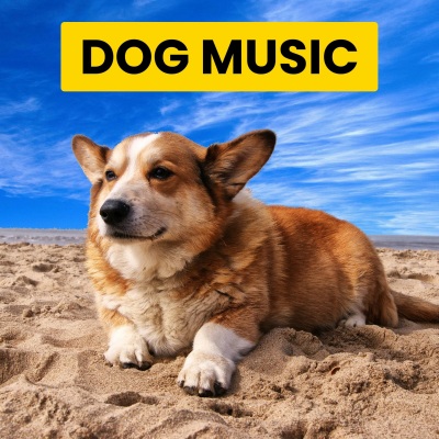 #1 Dog Piano