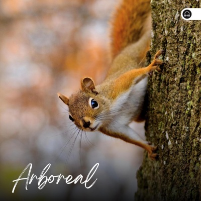 Arboreal