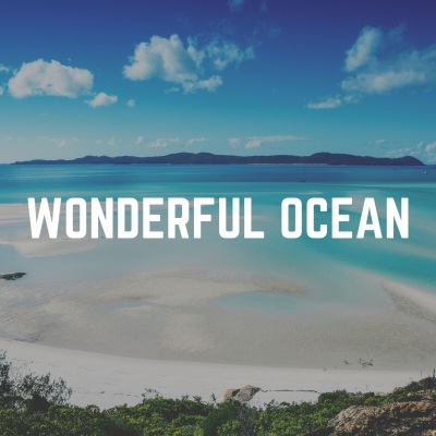 Wonderful Ocean