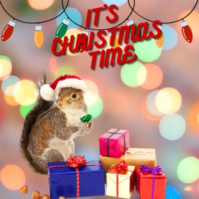 It's Christmas Time