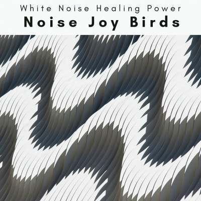 3 2 1 Noise Joy Birds