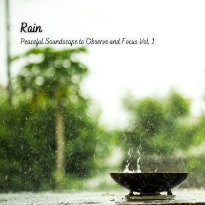Rain: Peaceful Soundscape to Observe and Focus Vol. 1